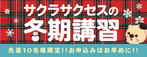 中学2年生へ~2学期の数学の重要性について~