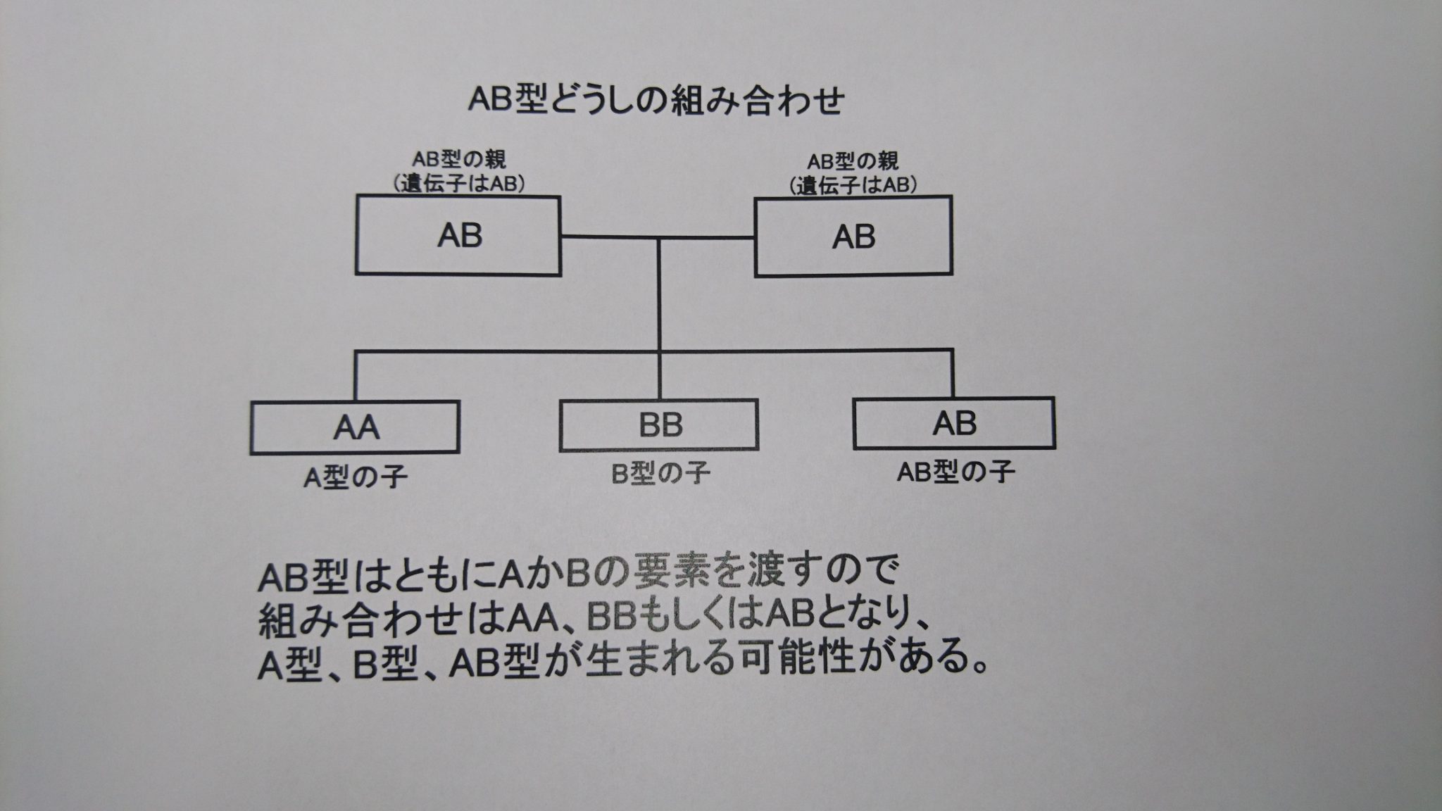 O 型 の 親 から ab 型