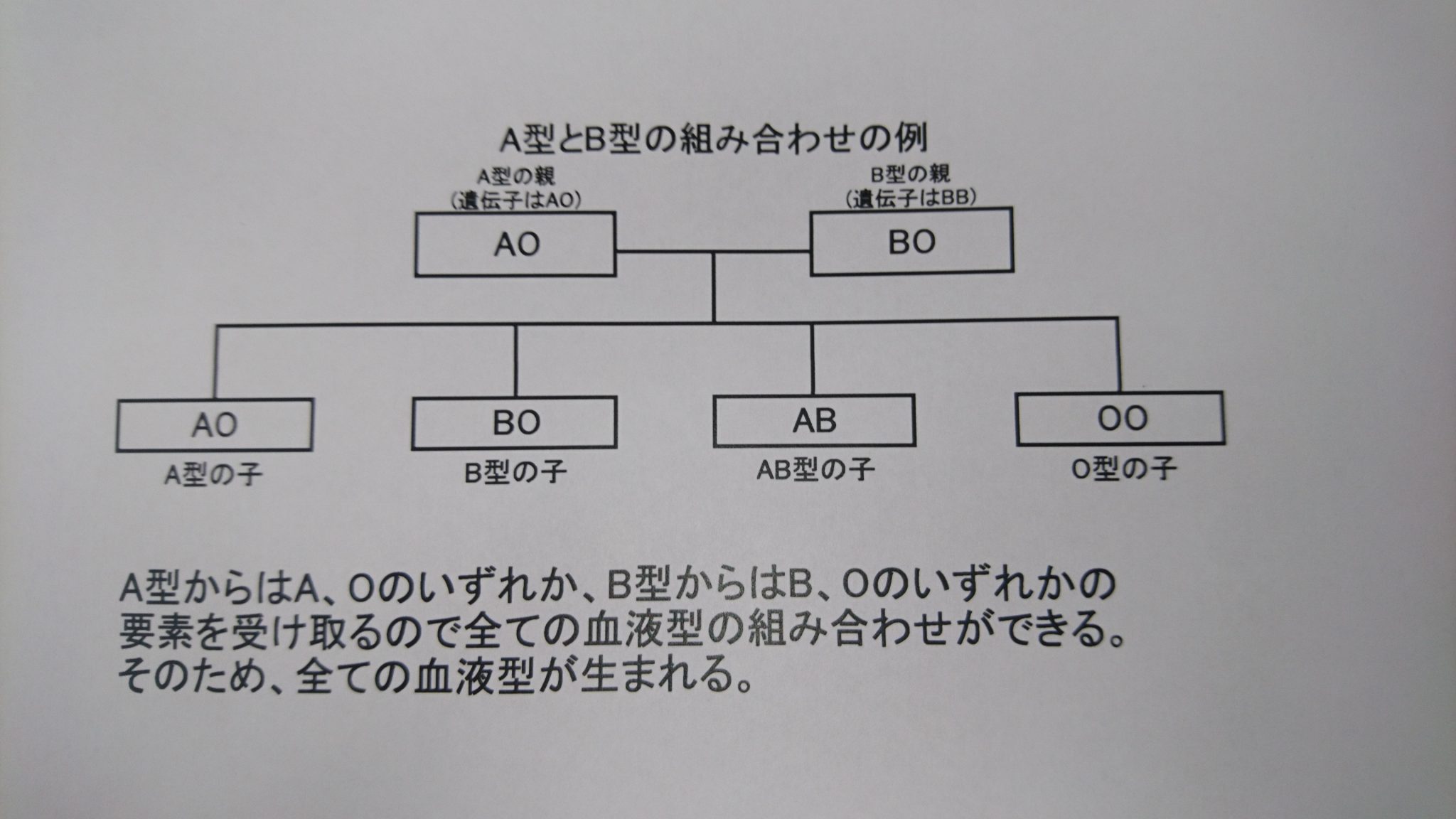 血液型のはなし 血液型の組み合わせ Part2 学習内容解説ブログ