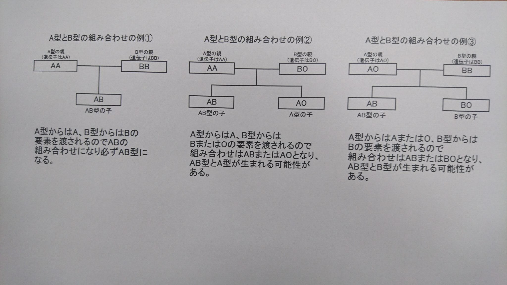 血液型のはなし 血液型ってどう決まる 学習内容解説ブログ