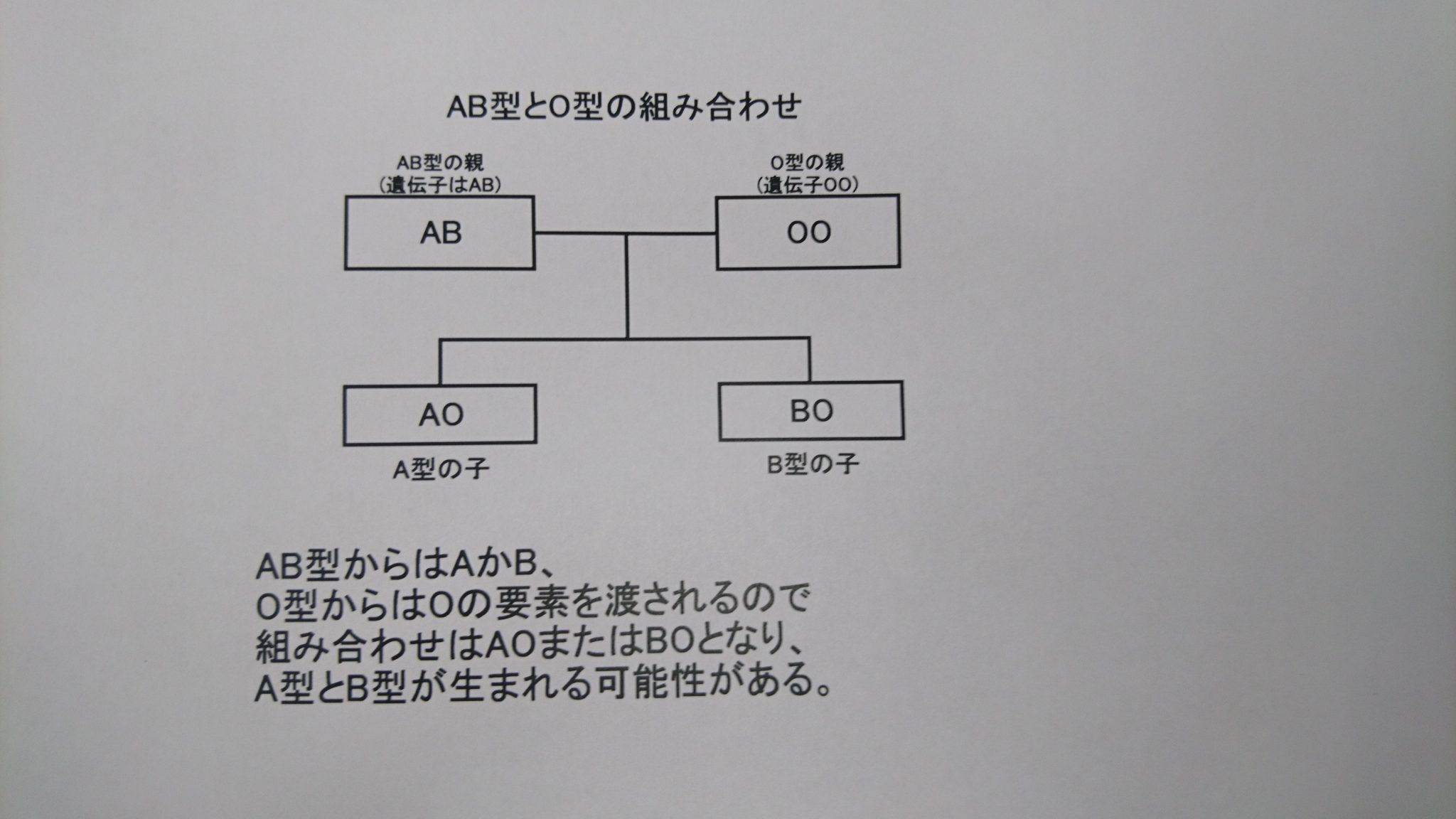 血液型のはなし 血液型の組み合わせ Part2 学習内容解説ブログ