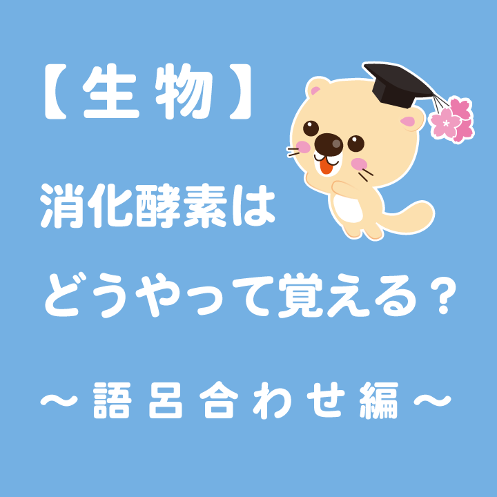 生物 消化酵素はどうやって覚える 語呂合わせ編 学習内容解説ブログ