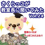 サクラサクセス