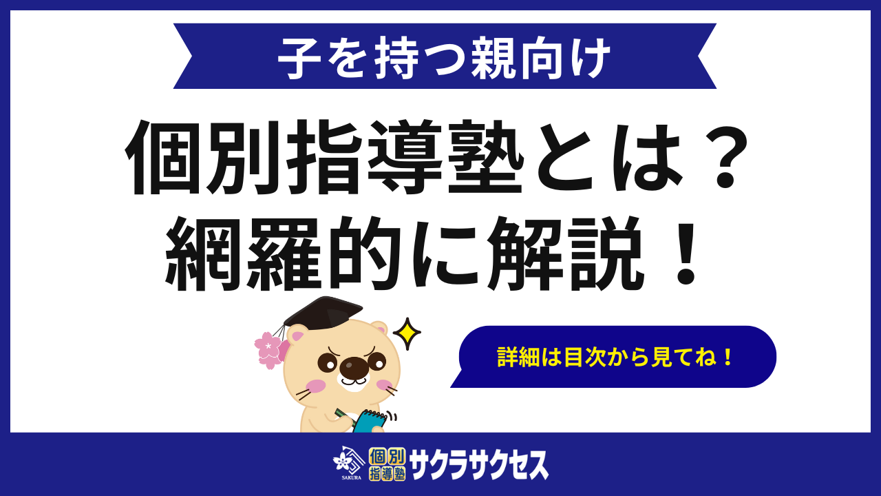 【網羅的】個別指導塾とは？集団塾との違いやメリット・デメリット・選び方等を徹底解説