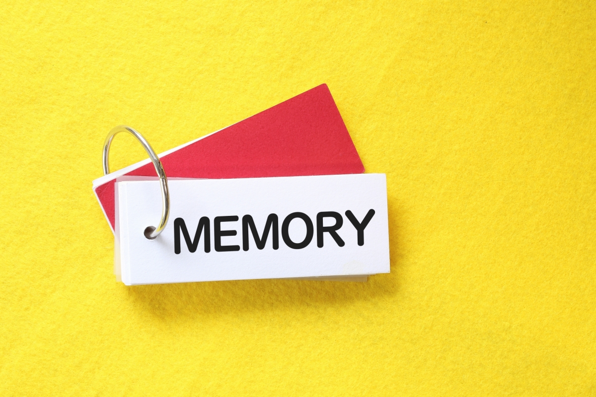 【勉強法】記憶力を高める学習法！