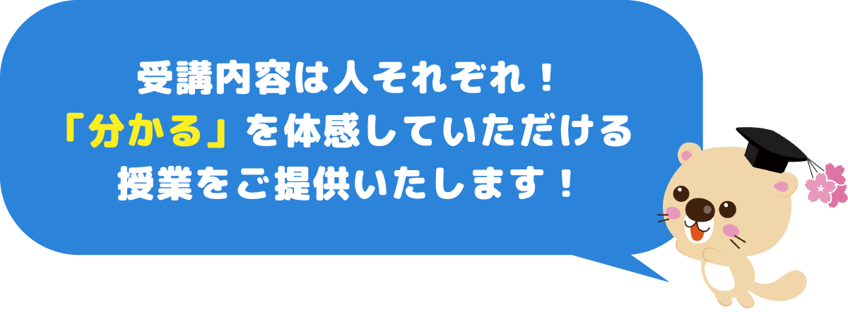 受講内容は人それぞれ！「分かる」を体感していただける授業をご提供いたします！